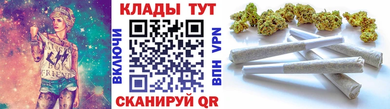 Купить закладку Каргополь A PVP  МЕТАДОН  Cocaine  Меф  ГАШИШ  Каннабис 