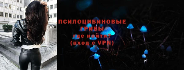 хмурый Верея