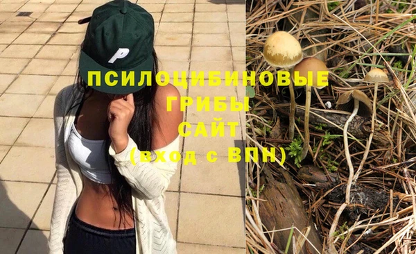 2c-b Володарск