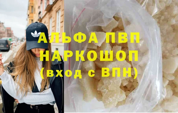 хмурый Верея