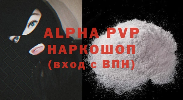 хмурый Верея