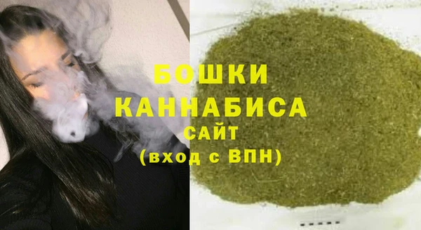 хмурый Верея