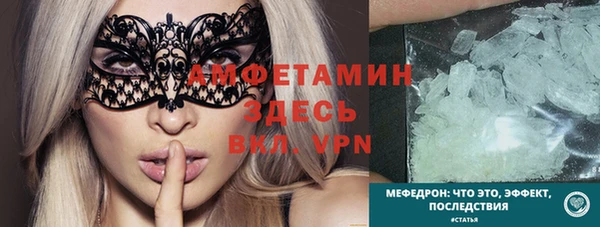 хмурый Верея