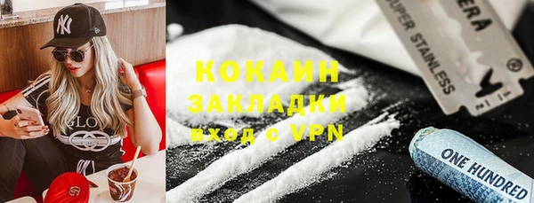 хмурый Верея