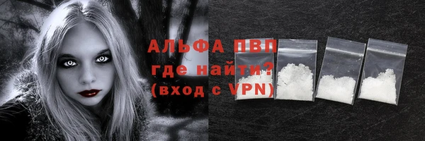 хмурый Верея