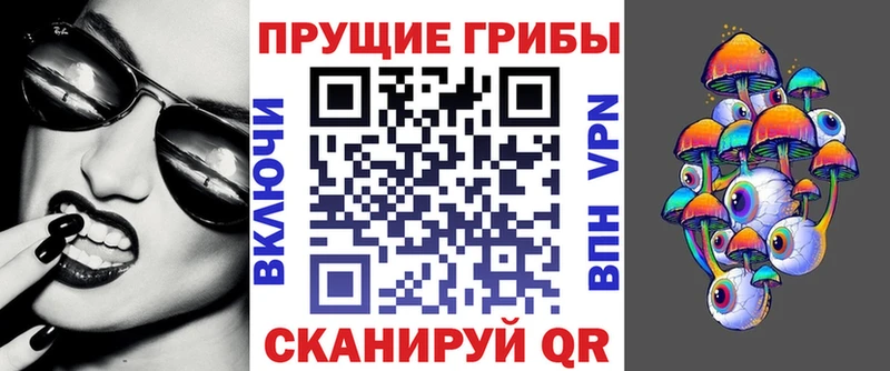 mega ONION  Каргополь  Псилоцибиновые грибы Cubensis 